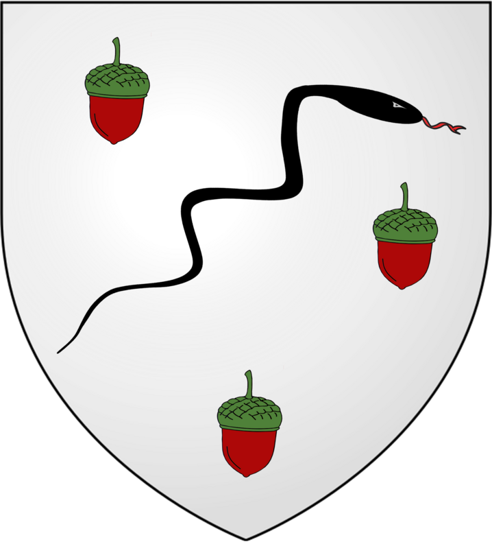 Armoiries Famille de Ruffray de Mongresse